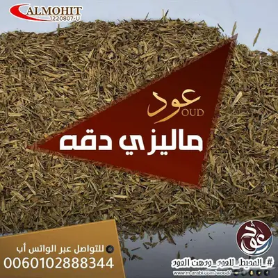 عود ماليزي دقة دبل سوبر 2