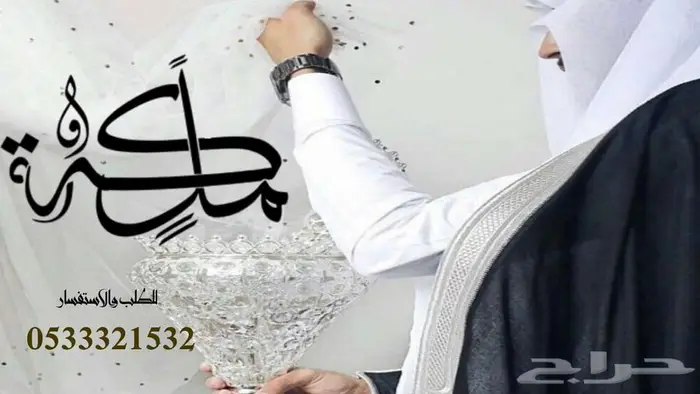 منشد شيلات شاعر جزل 0