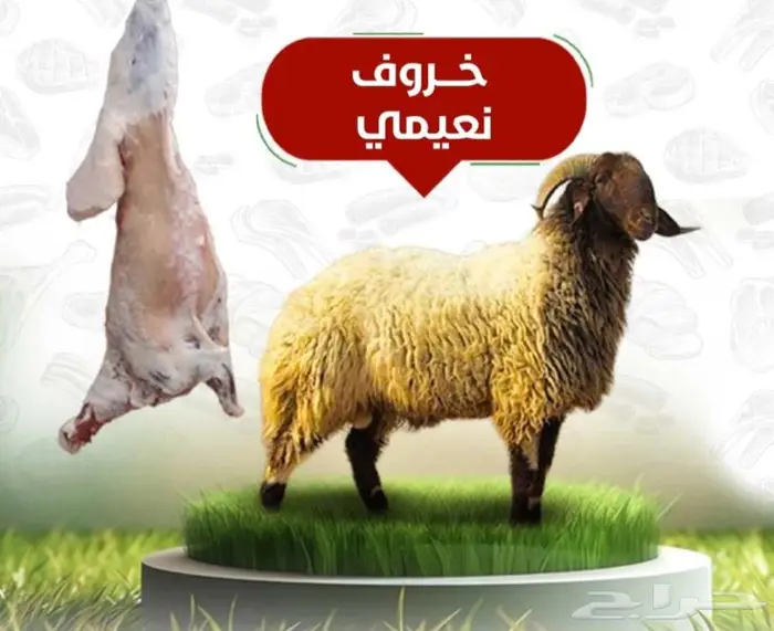ذبايح و خرفان للبيع 0