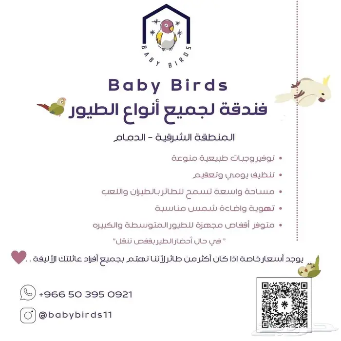 فندقة طيور 0