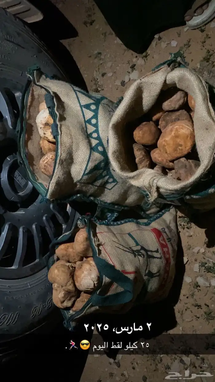 فقع طيب كمى لقط اليوم خياش فل 0