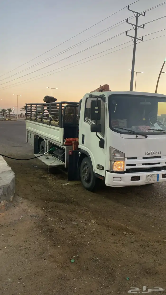 دنا هيدروليك النقل الابل حفر الباطن وضواحيها 0