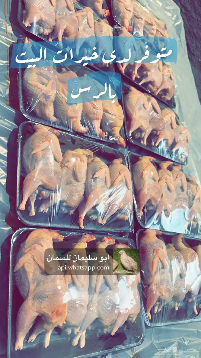 سمان فري 5