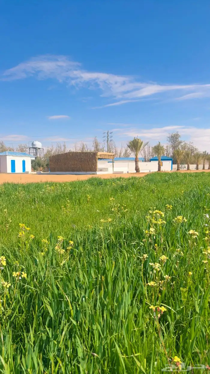 نستقبل حجوزات الاجازة بمخيم مزرعة ريف والبيت الريفي بمسبح 16
