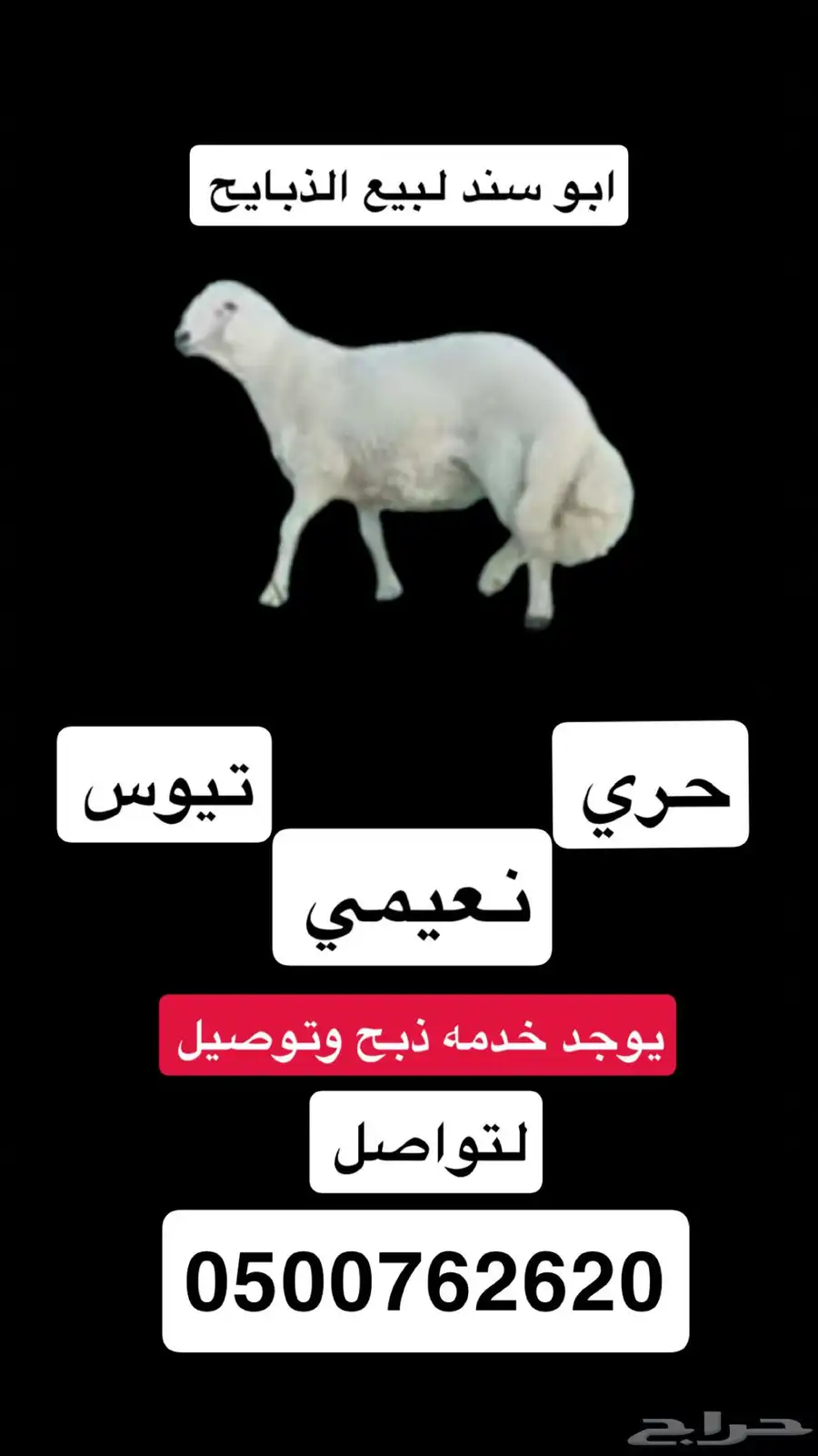 ابو سند لذبايح 0