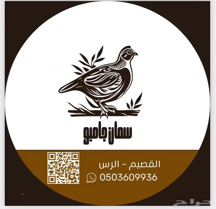 سمان فري 6