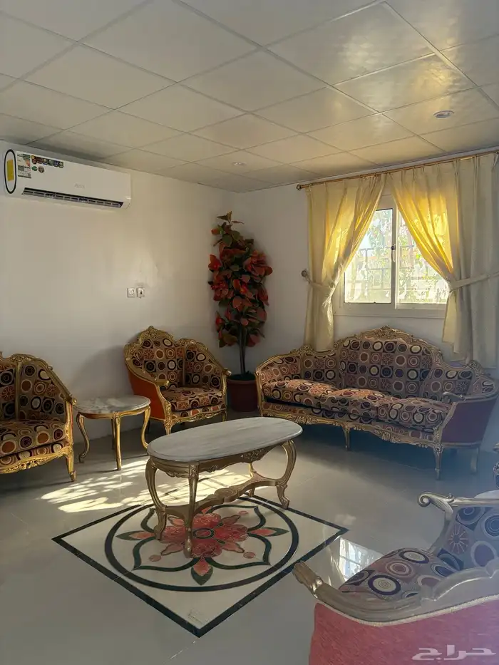 نستقبل حجوزات الاجازة بمخيم مزرعة ريف والبيت الريفي بمسبح 14