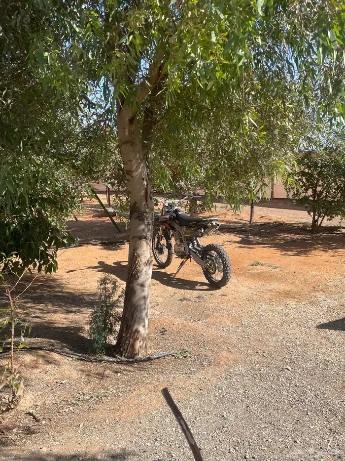 دباب صحاوي 250cc للبيع او للبدل 2