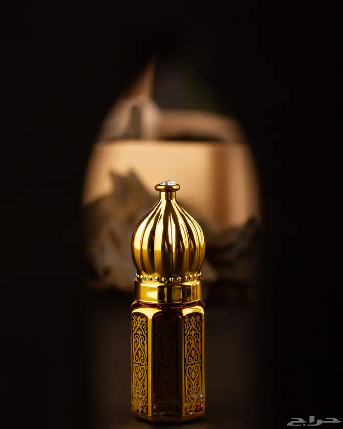 العروض معنا غير حياكم 50