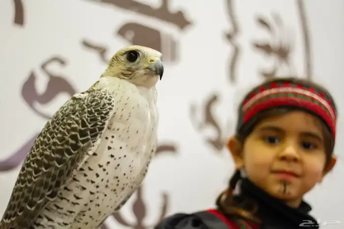 العروض معنا غير حياكم 52