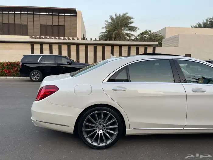 تم البيع 12