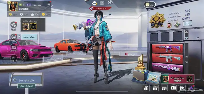 حساب ببجي للبيع 6