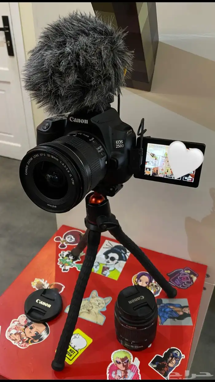 معدات لصناع المحتوى   كانون D250 1