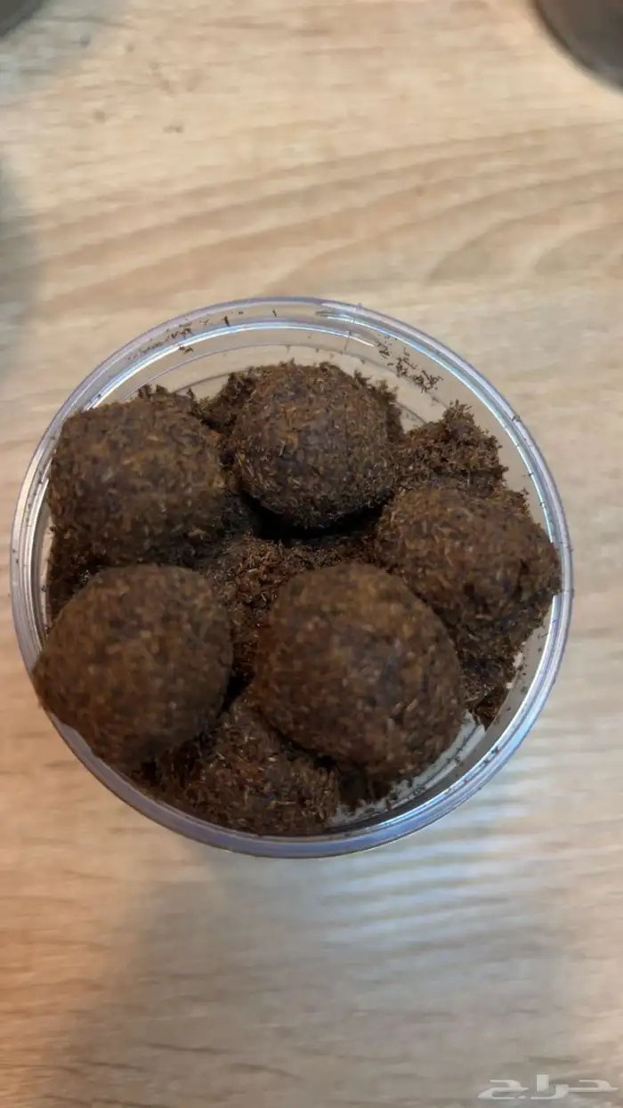 عروض بخور دوسري اصلي 0