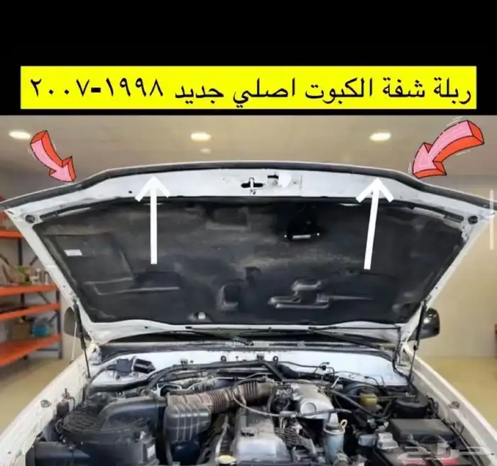 جلدة الكبوت الاماميه 0