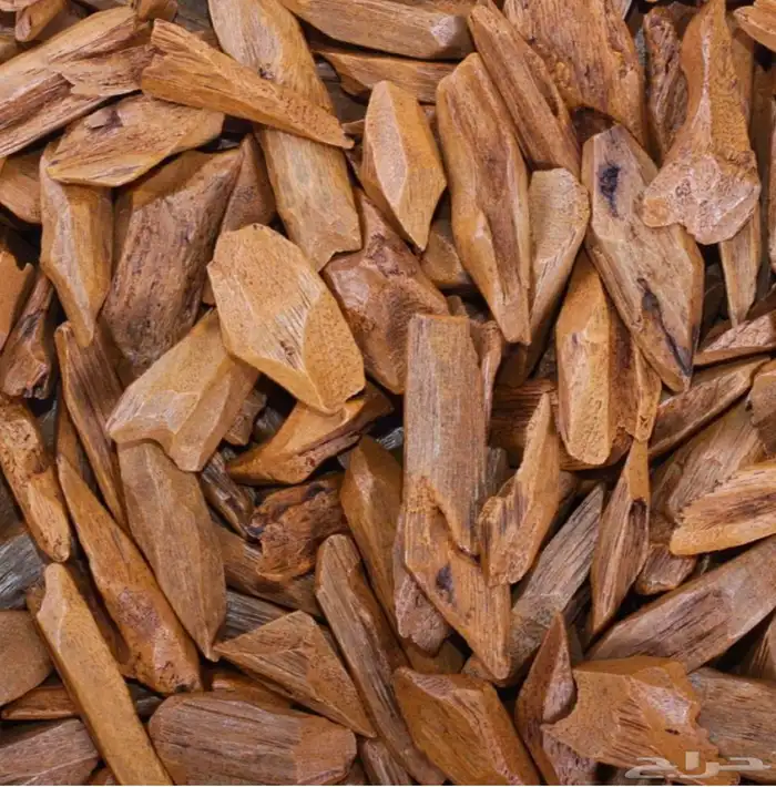 عود مروكي طبيعي محسن بريزين فيتنامي رسمي وقليل مثله 1