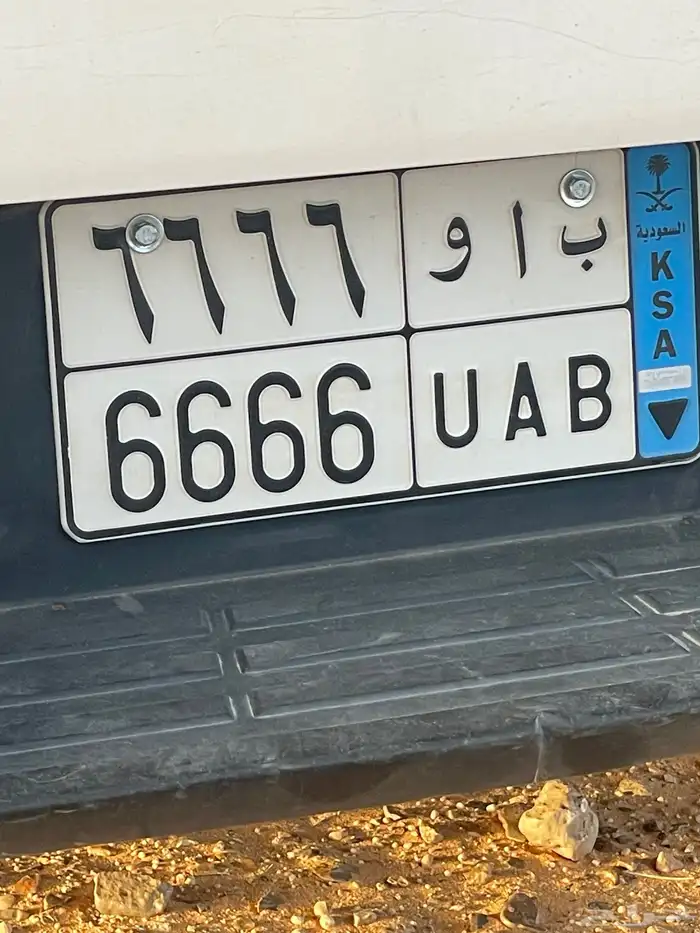 لوحه مميزه للبيع 6