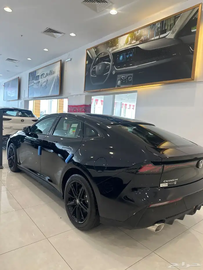 شانجان يوني في ايليت 2026 2