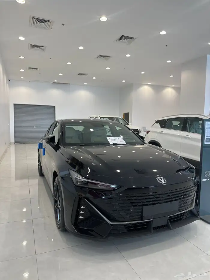 شانجان يوني في ايليت 2026 0