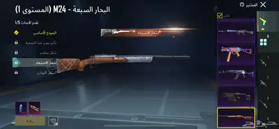 ببجي 5
