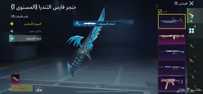ببجي 6