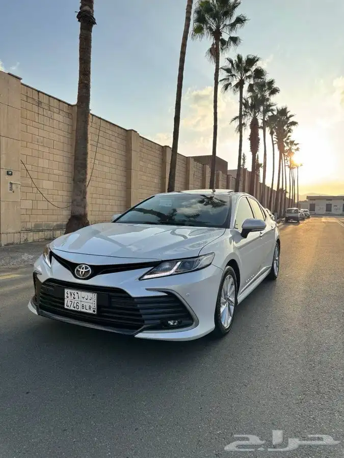 تم البيع الله يبارك للمشتري 0