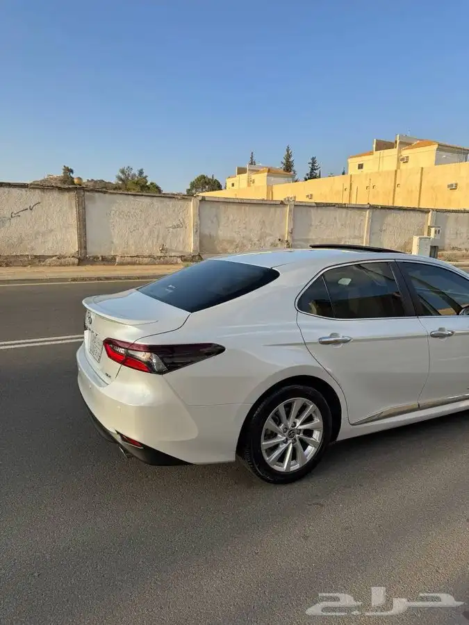 تم البيع الله يبارك للمشتري 12