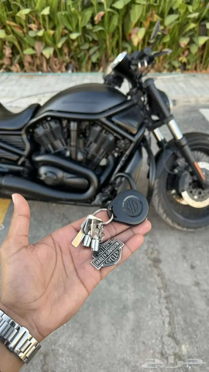 هارلي نايت رود 7