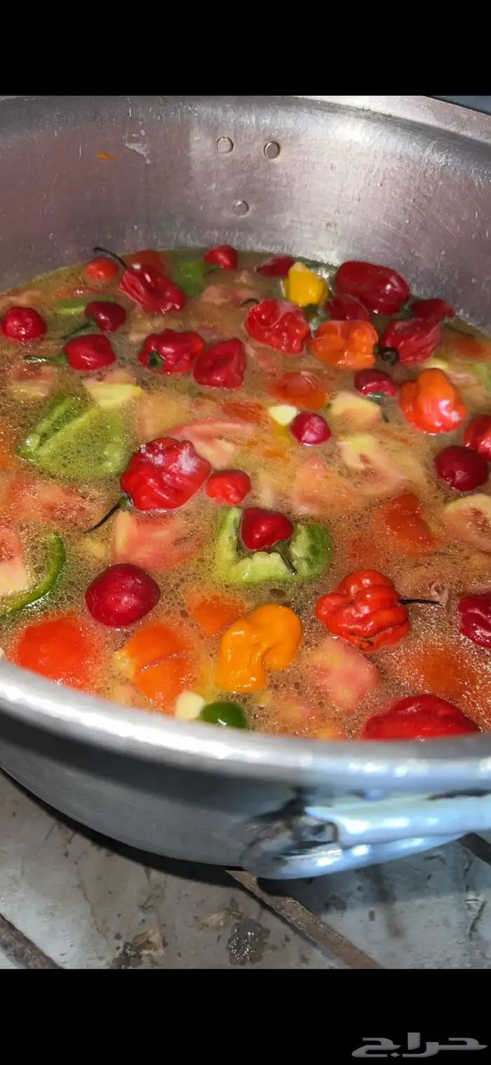 مندي دجاج حساوي على الكرب من مزرعتنا بالاحساء 2