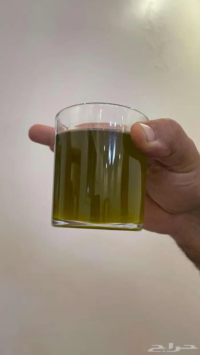زيت زيتون سوري جديد على الشرط 0