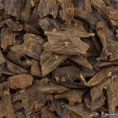 عود كينام مميز سوبر مرتفع ودبل فرصة للي بيترزق الله 2