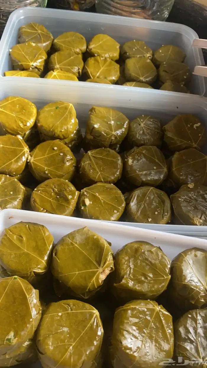 ورق عنب كبيبه حائل فته ورق عنب 9