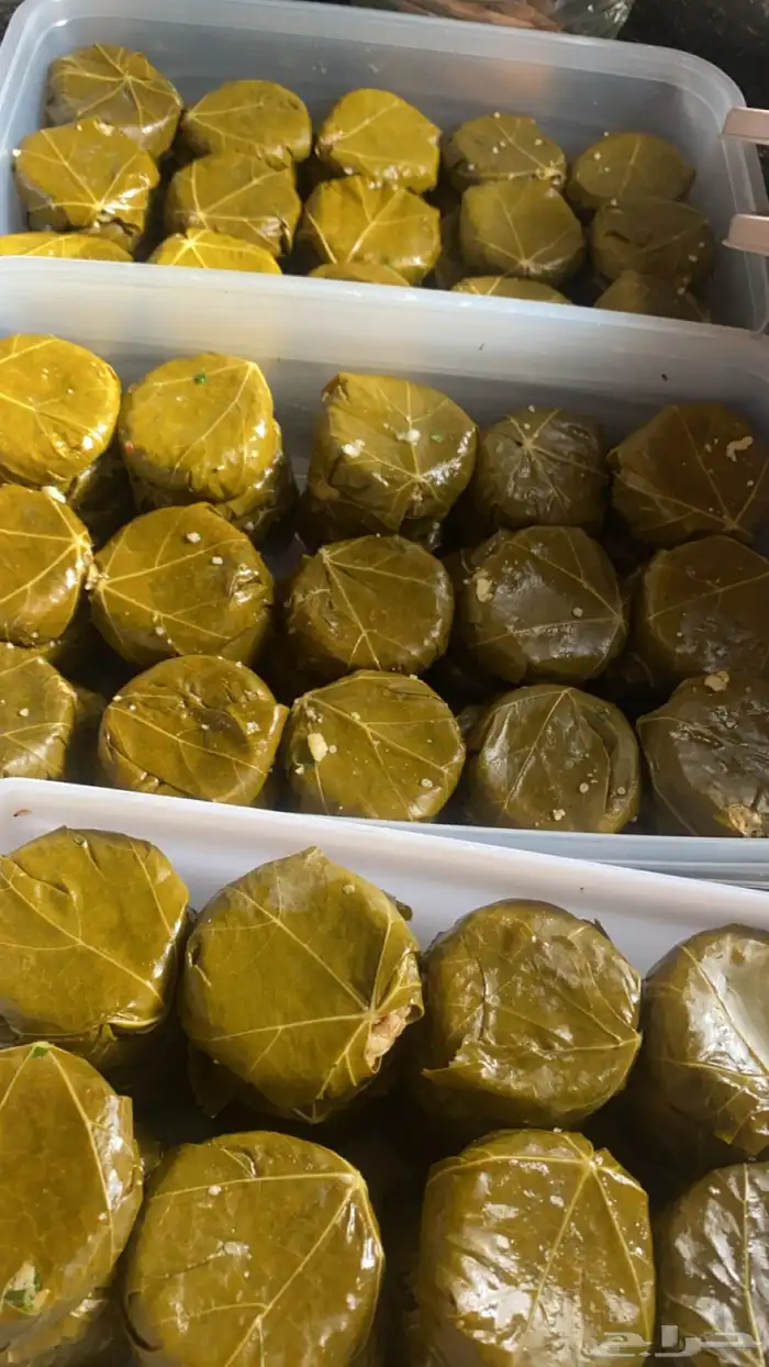 ورق عنب كبيبه حائل فته ورق عنب 10