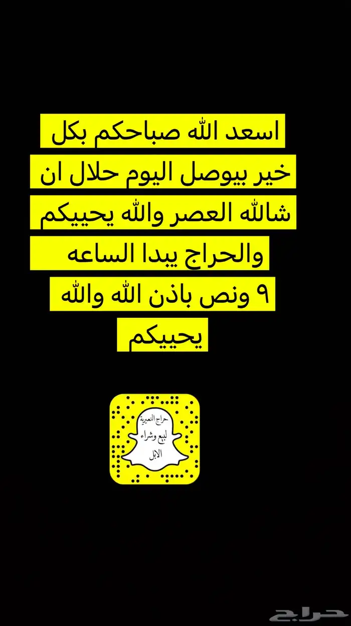 حراج النعيريه لبيع وشراء الابل 0