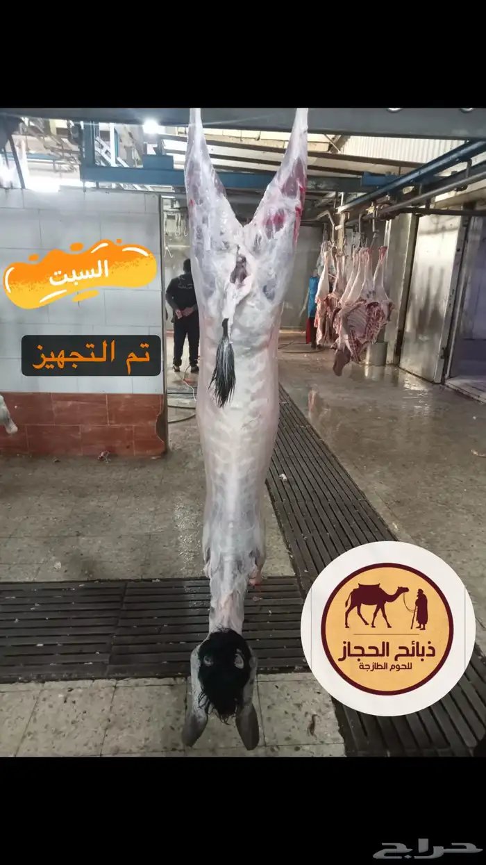 ملحمة ذبائح الحجاز- مخطط البدراني ( اقرأ التعليقات بالصور) 30