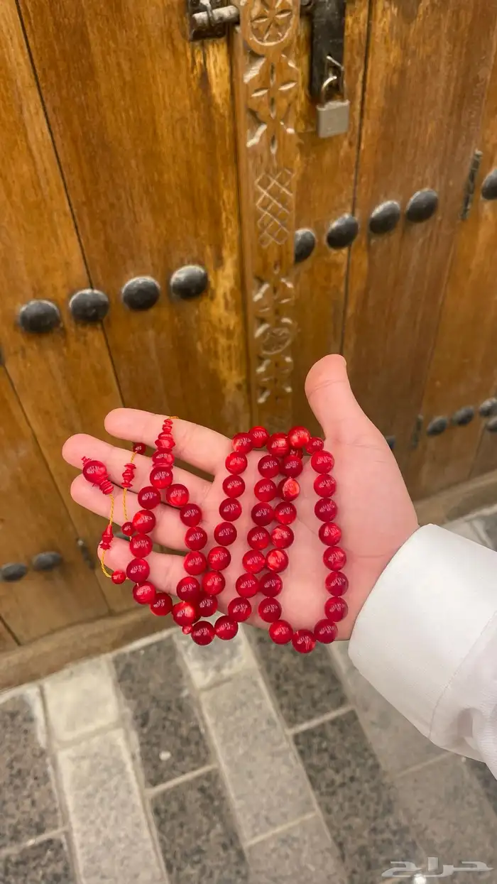 سبح منوعه بث مباشر 10