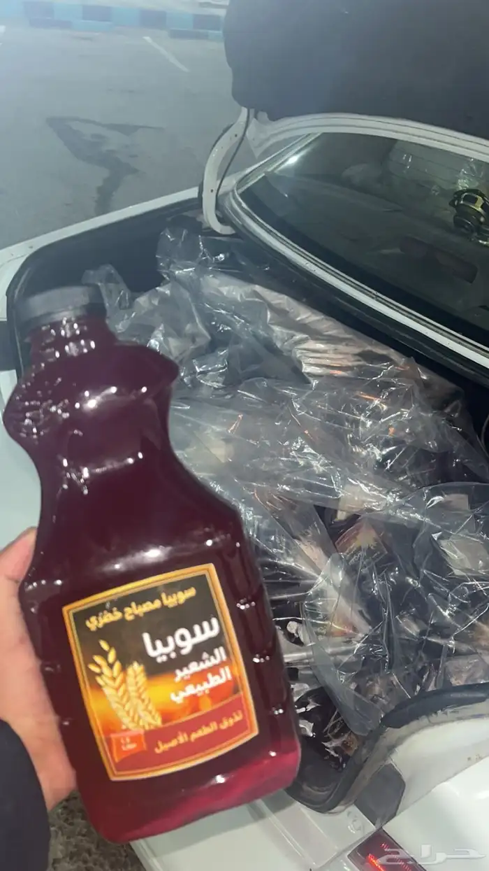 سوبيا الخضري 1