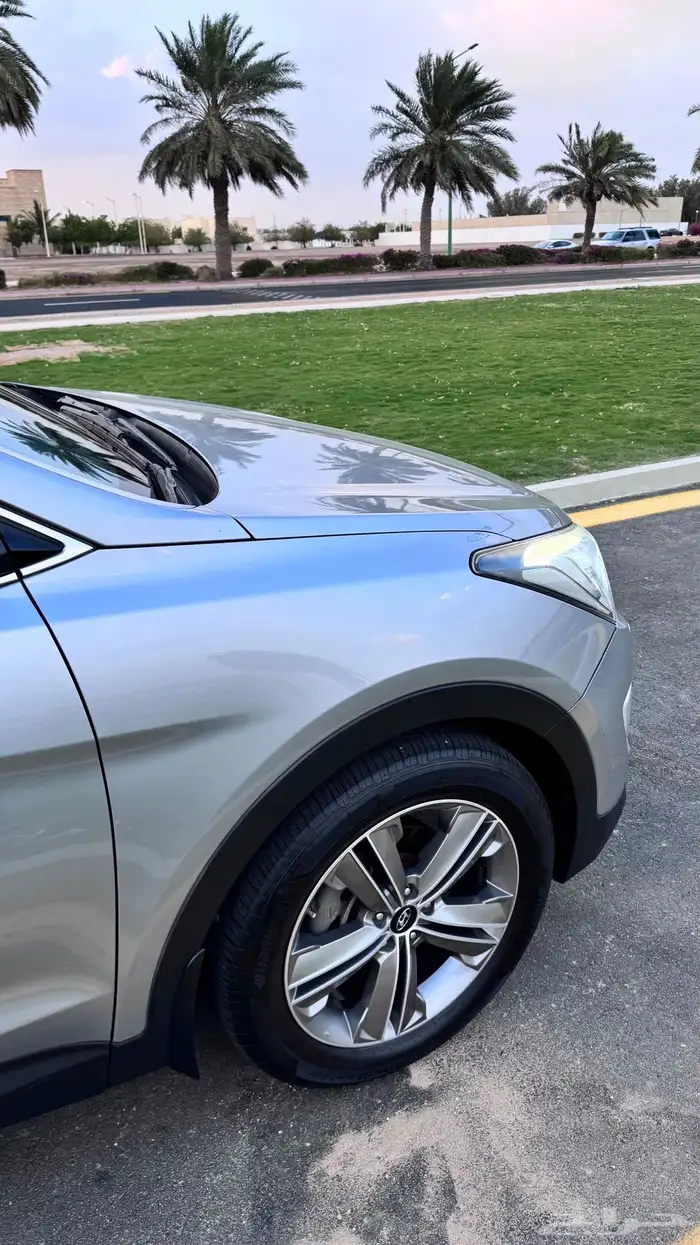 سنتافي 2014 فل كامل 4