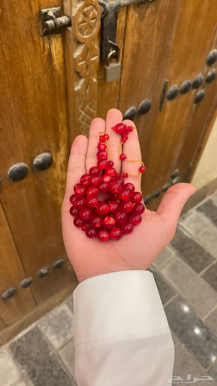 سبح منوعه بث مباشر 9