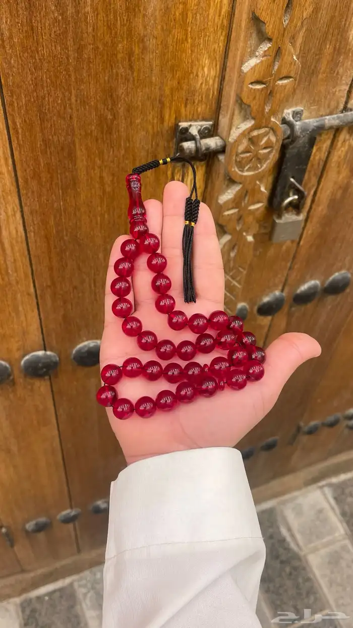 سبح منوعه بث مباشر 16