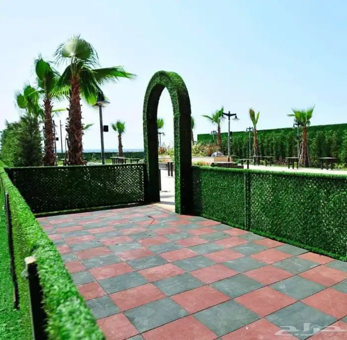 جلسات خارجية 11