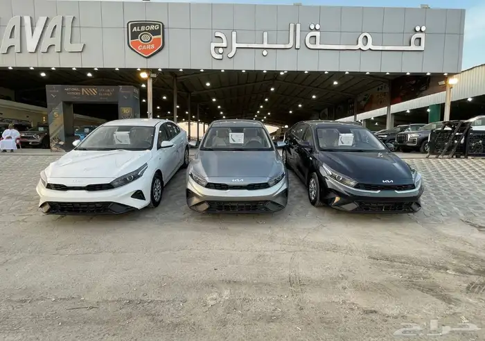 سيارات صينية جديدة اسعار خاصة للشركات والمؤسسات 2025 6