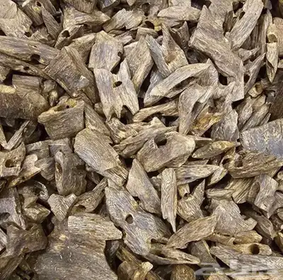 عود كينام مميز سوبر مرتفع ودبل فرصة للي بيترزق الله 3