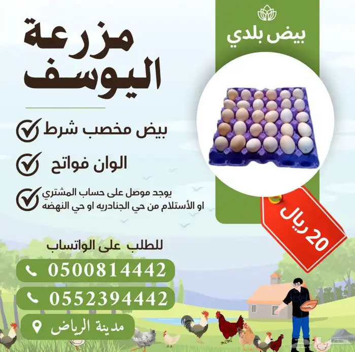 بيض بلدي مخصب 0
