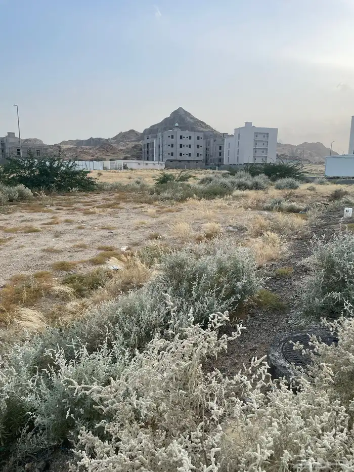 ارض في جوهرة المعيصم بمكه للبيع 0