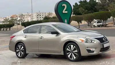 التيما ( بودي بلد ) 0