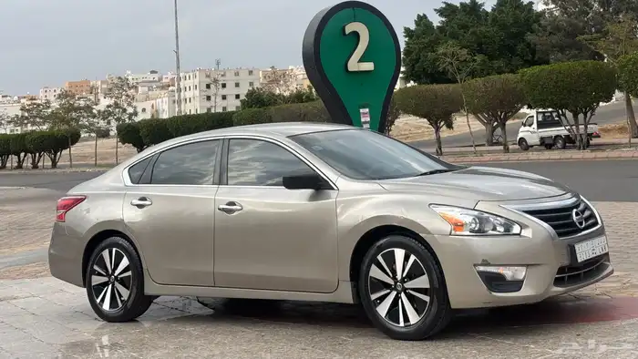 التيما ( بودي بلد ) 0