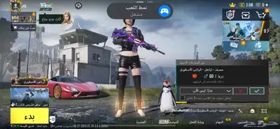 ببجي 1