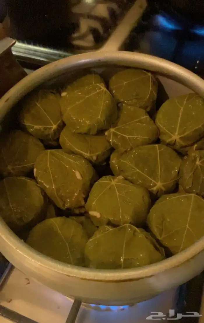 ورق عنب كبيبه حائل فته ورق عنب 11