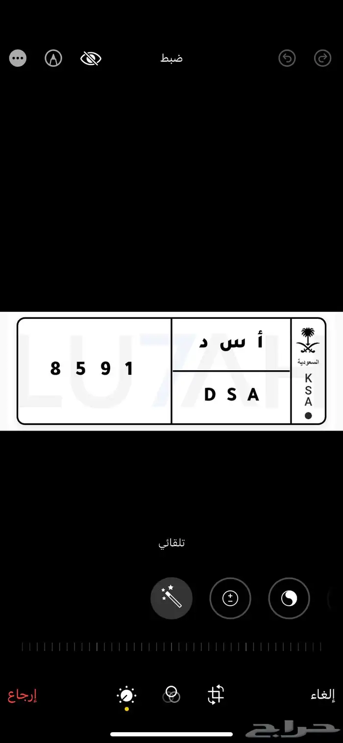 لوحه خصوصي أسد للبيع 0
